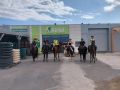 Cheval 1