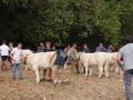 IMG 7188